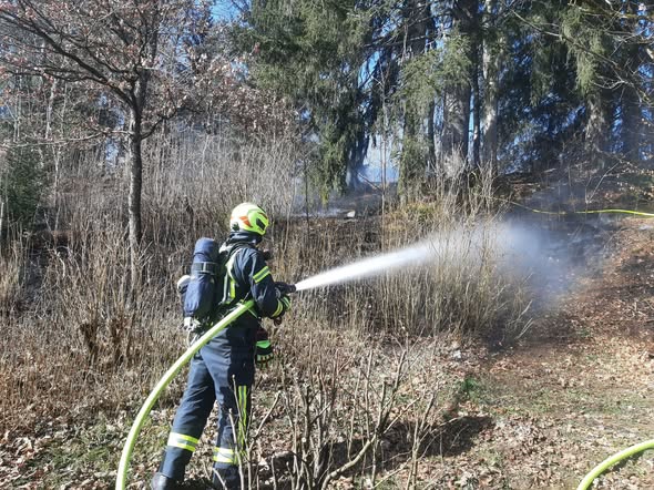Einsatz Nr. 03/25